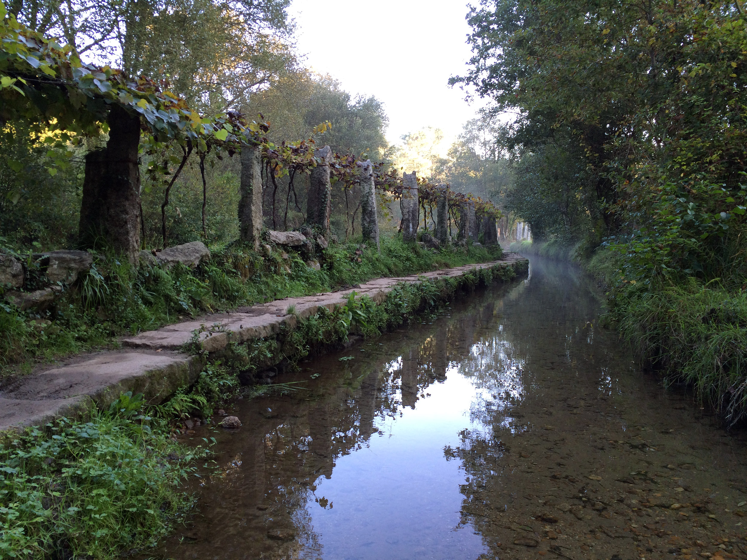 Camino Portugués 2015