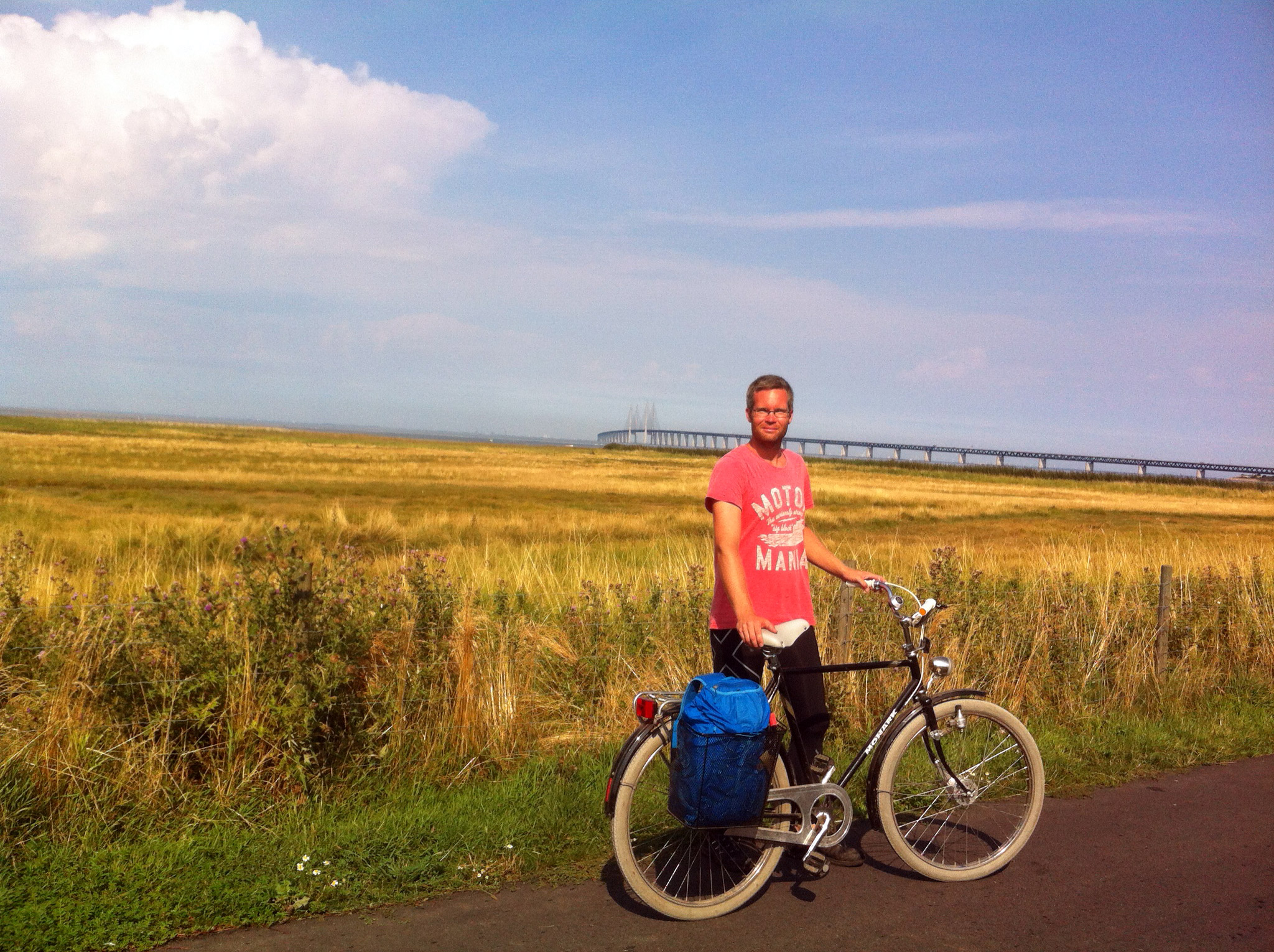 Öresund Loop 2014