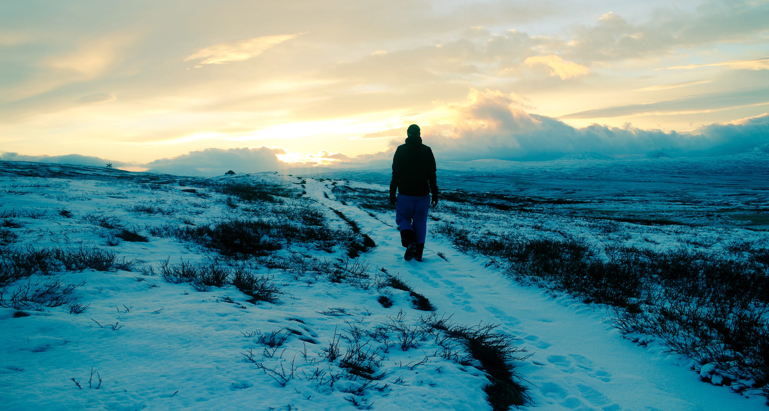 Jämtlandstriangeln 2014